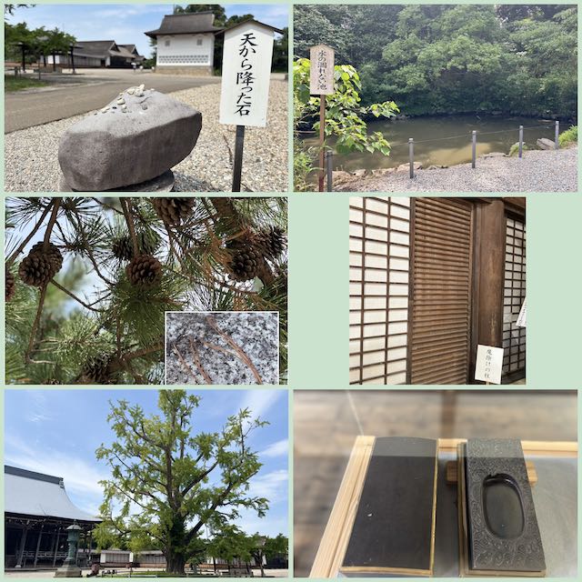 天から降った石や三葉の松など勝興寺の七不思議