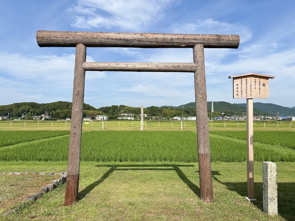 伊雑宮の御神田に立つ鳥居と、真夏に青々と育つ稲