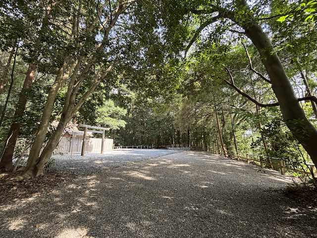 木漏れ日に包まれる佐美長神社の境内