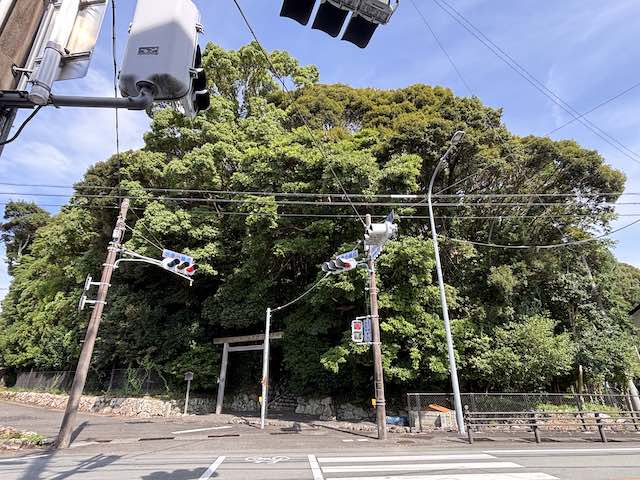 道路から望む森に包まれた佐美長神社