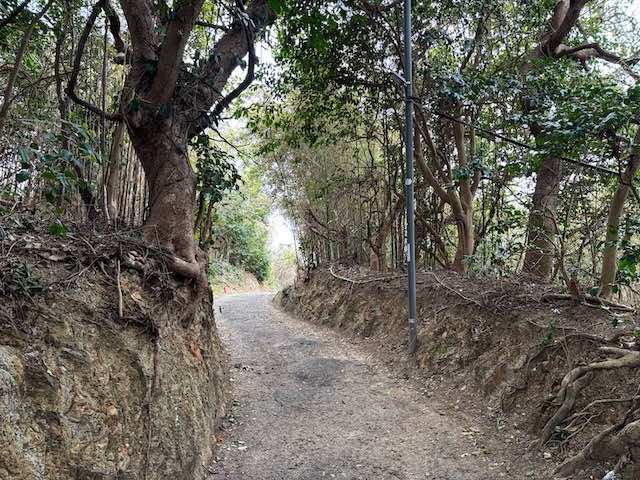 麦埼灯台手前の道の様子