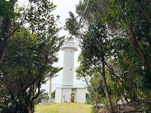 木々の奥に見える麦埼灯台
