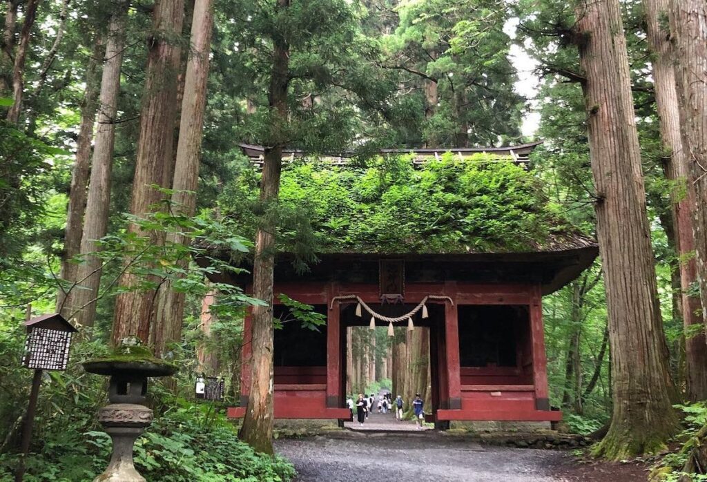 戸隠神社五社巡りと鏡池を歩く長野の静かな旅|奥社のきつさ・虫対策・アクセス体験記 | 電車で行く小さなひとり旅ノート