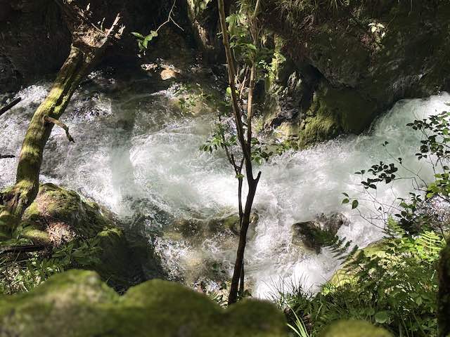 青緑色の水と白い飛沫が見える忠助淵