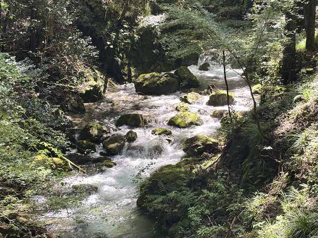 払沢の滝へ向かう遊歩道沿いを勢いよく流れる渓流