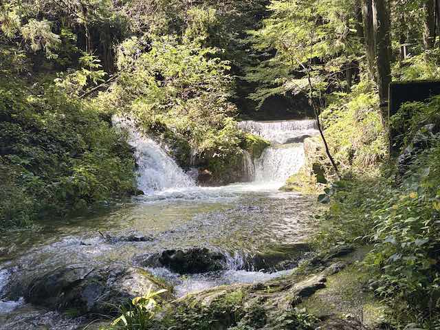 払沢の滝からの帰りに立ち寄った遊歩道沿いの水辺