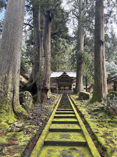 苔に覆われた静かな道が続く永平寺の境内