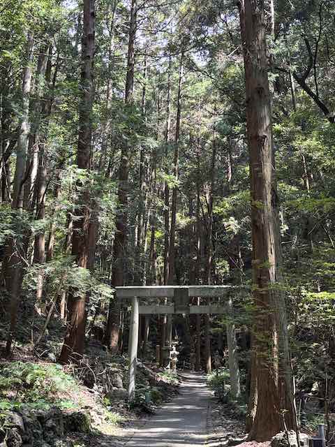 天の岩戸の鳥居と参道
