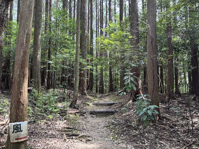 天の岩戸から風穴へ続く山道