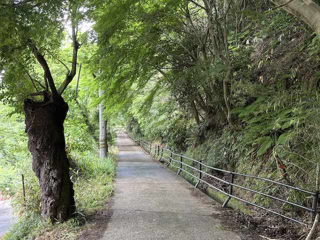 卯辰山 花菖蒲園にひがし茶屋街から向かう道