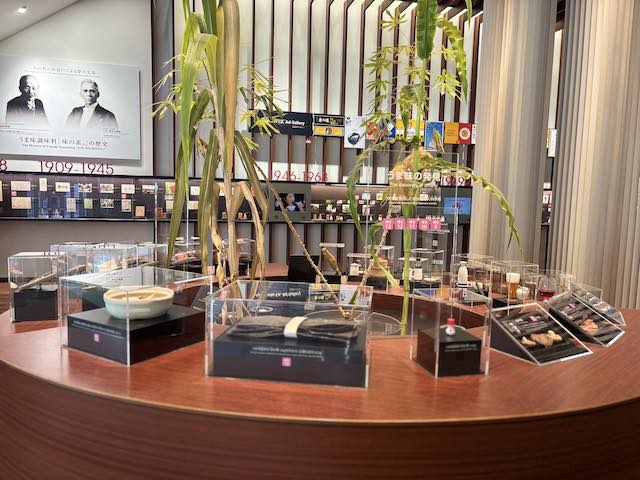 味の素の原料となるサトウキビなどの植物の展示
