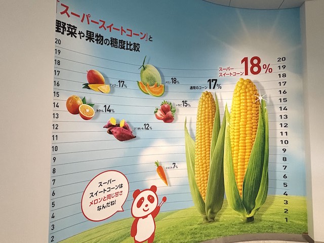 スーパースイートコーンと野菜や果物の糖度比較展示