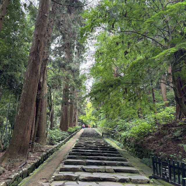 瑞鳳殿へ続く杉並木の石段
