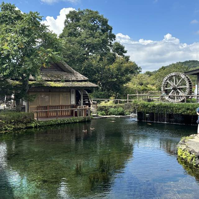 忍野八海の透き通る湧水池