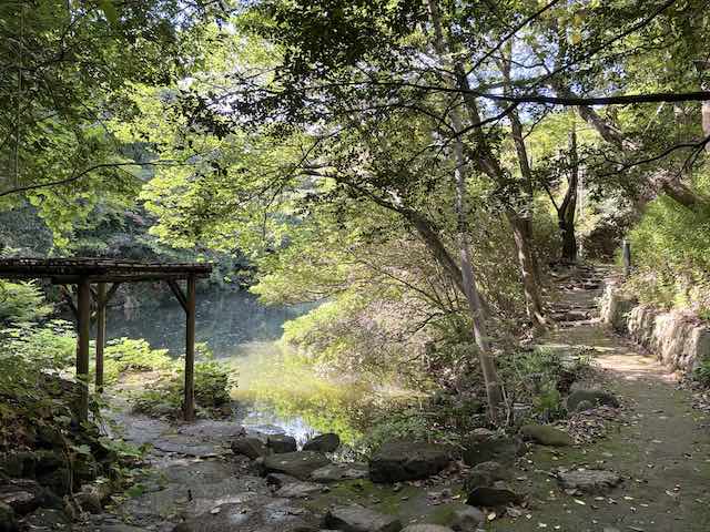 東京大学三四郎池の水辺と散策路