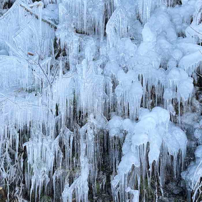 あしがくぼのたくさんの氷柱