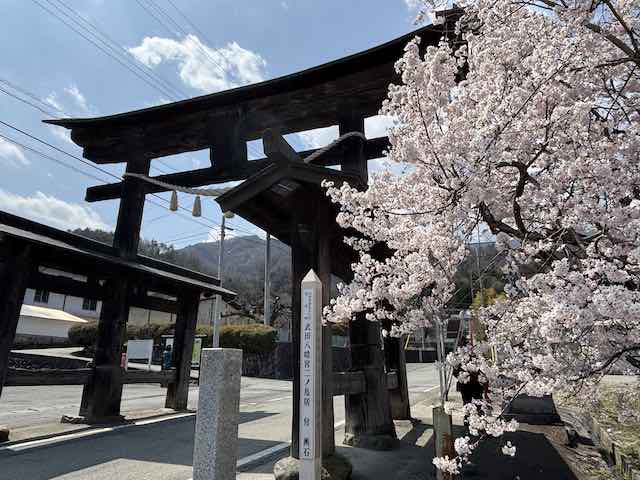 武田八幡宮のニノ鳥居と桜