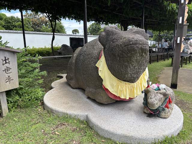 南蔵院の出世牛