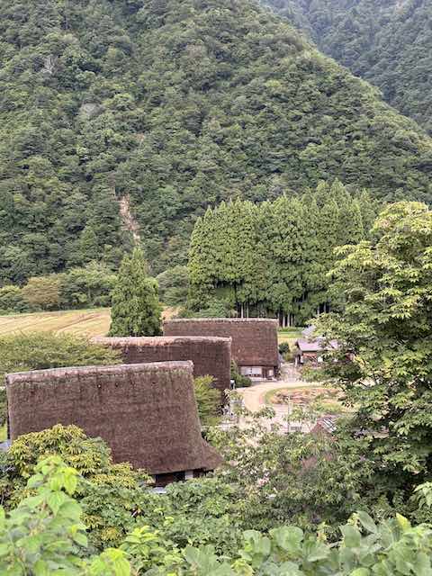 駐車場の展望台から見下ろした菅沼集落