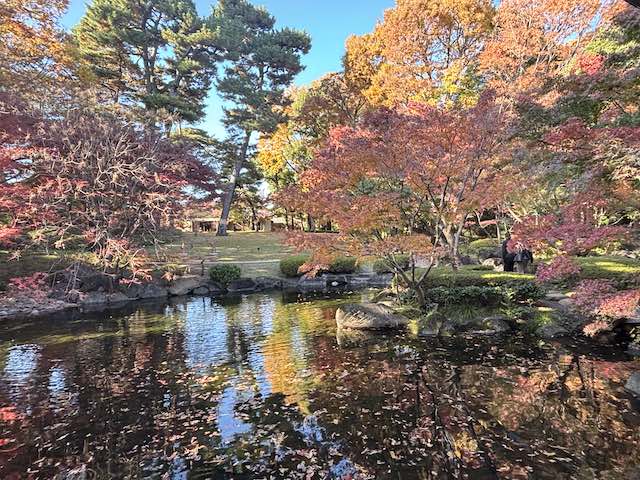 赤や橙、黄、緑の紅葉に囲まれた大田黒公園の池