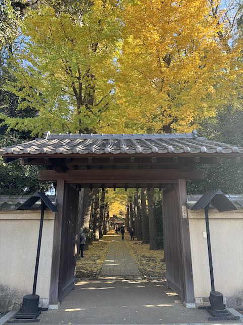 紅葉シーズンの大田黒公園入口と奥に続くイチョウ並木