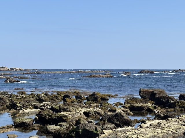野島埼灯台 強風の岬と白波