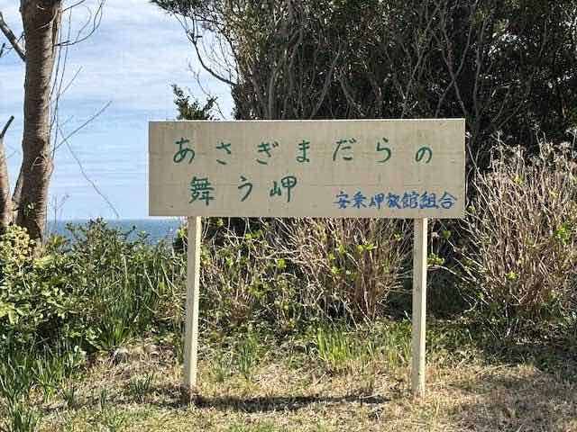 あさぎまだらの舞う岬の安乗埼園地