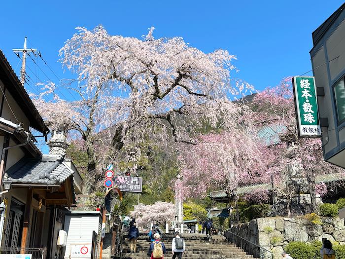 身延山久遠寺の山門より手前の風景