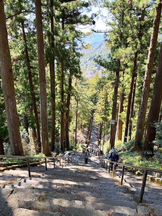 身延山久遠寺の菩提梯を見下ろす