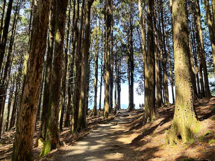 身延山山頂の遊歩道