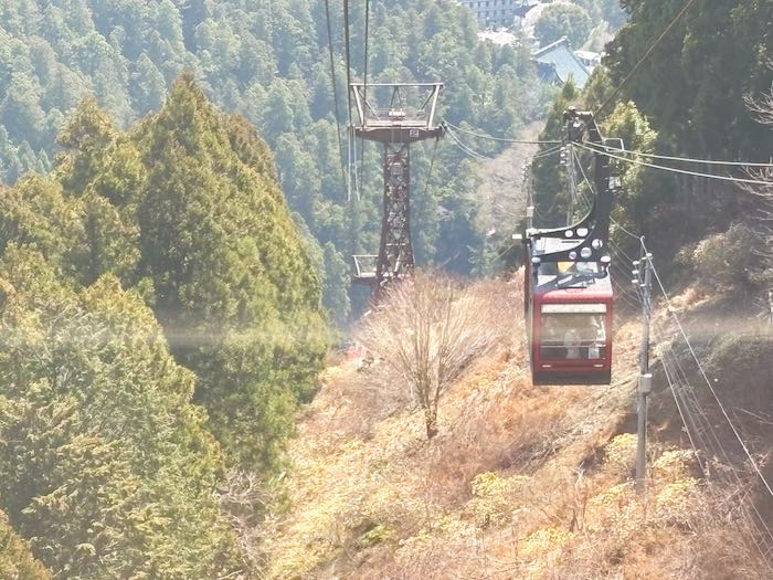 身延山ロープウェイとミツマタ