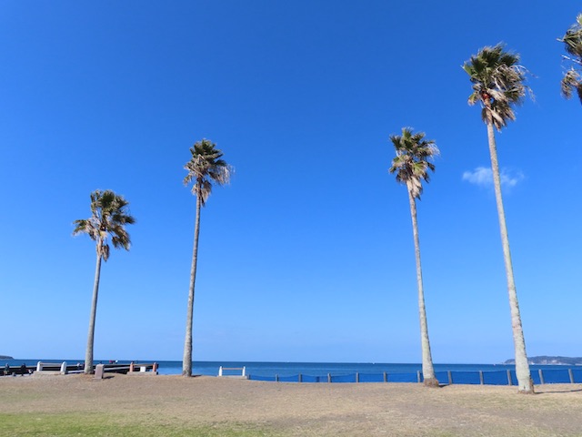 館山 北条海岸 瑠璃色の海