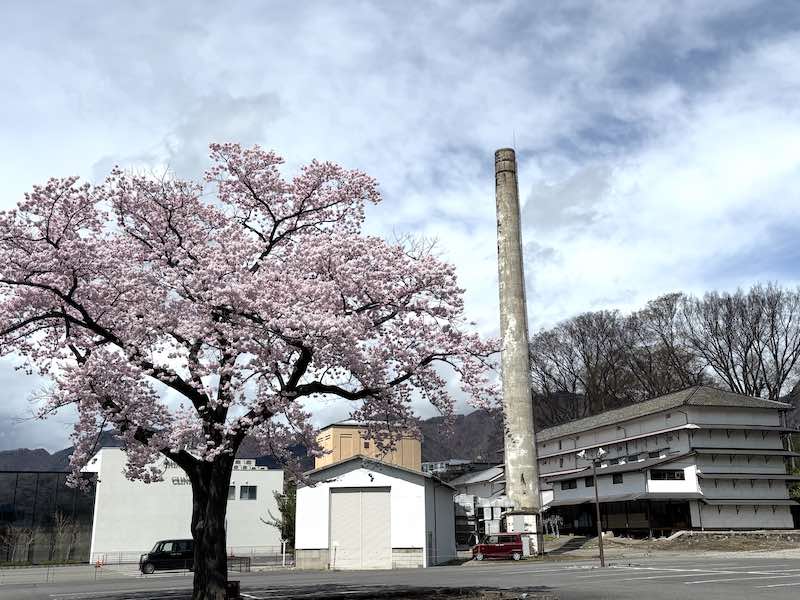 常田館製糸場と煙突と桜