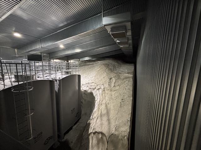 八海山雪室　雪中貯蔵庫内の屋根と雪