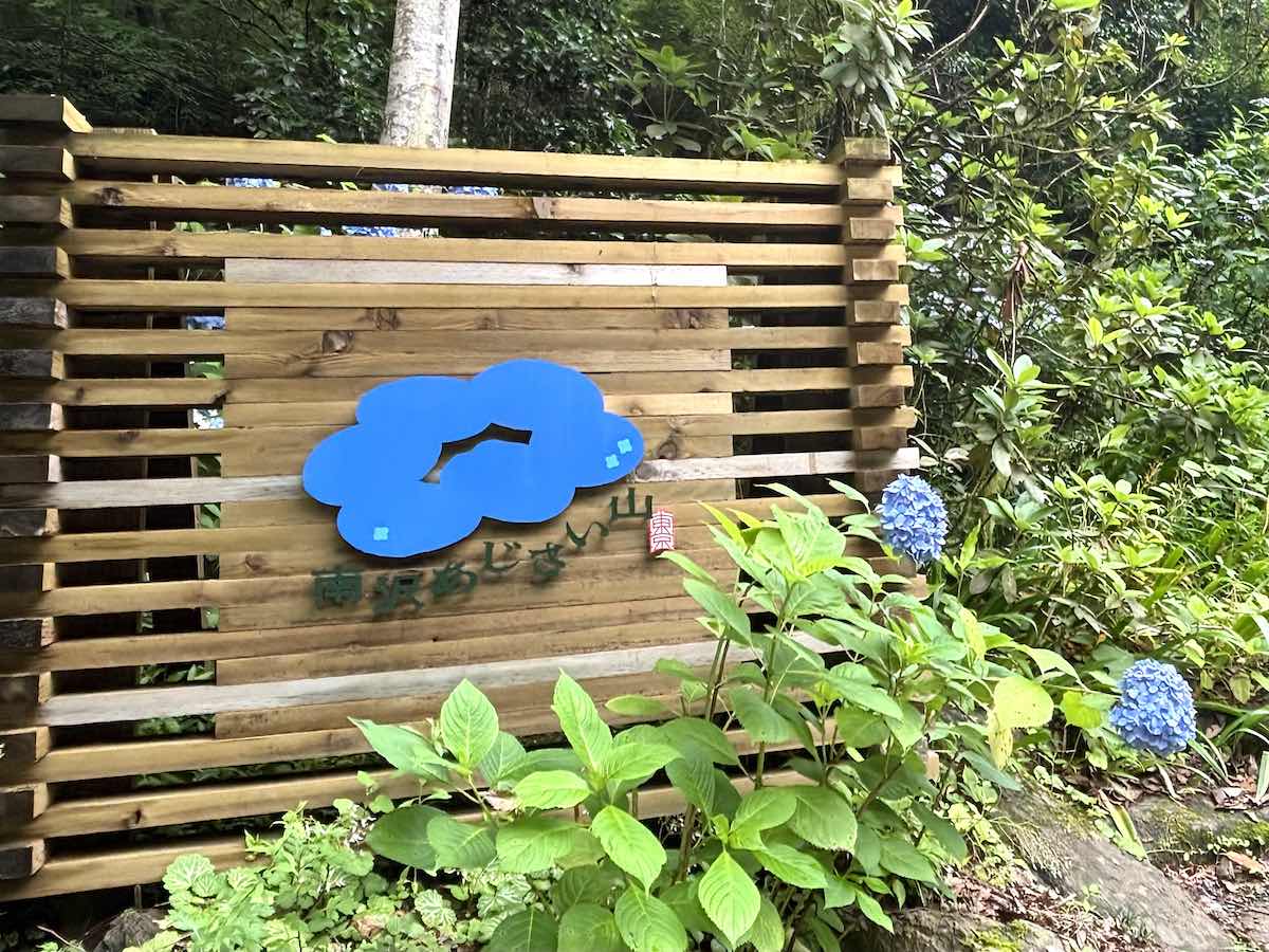 南沢あじさい山入口の案内看板と見頃を迎えた紫陽花