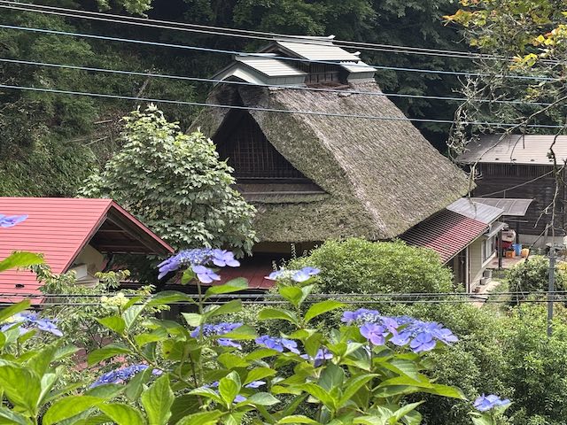 南沢あじさい山から見た茅葺き屋根