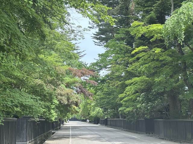 新緑に包まれた角館武家屋敷通り