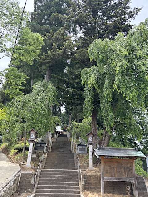 杉木立に囲まれた角館・神明社の石段