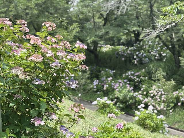 わんダフルネイチャーヴィレッジの風景