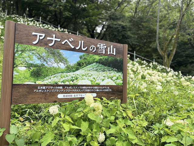 アナベルの雪山の説明看板