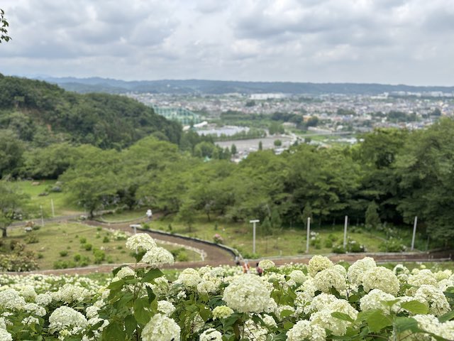わんダフルネイチャーヴィレッジの展望台から見た秋川の景色