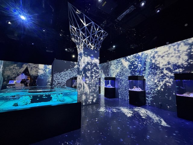 イマーシブエリア「パターンズ」の光景