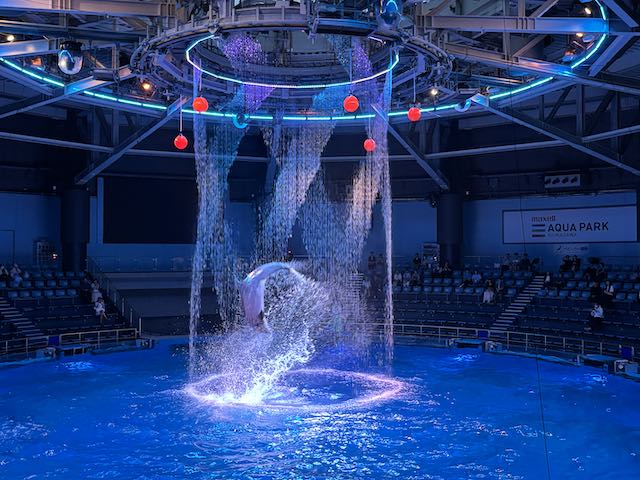夜のドルフィンパフォーマンスで水のカーテンをジャンプするイルカ