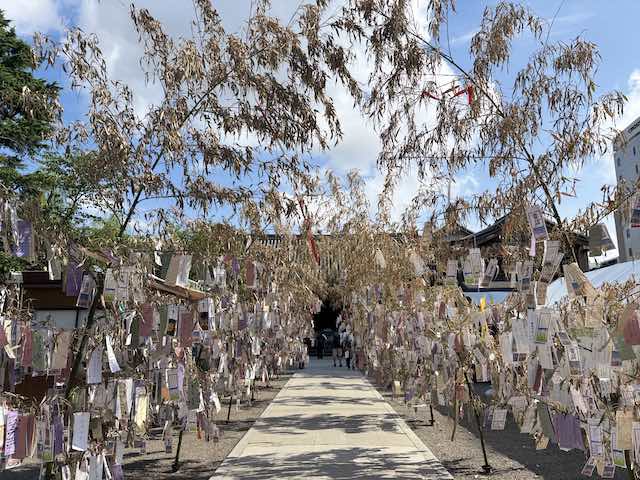 浅草神社参道に飾られた七夕飾り