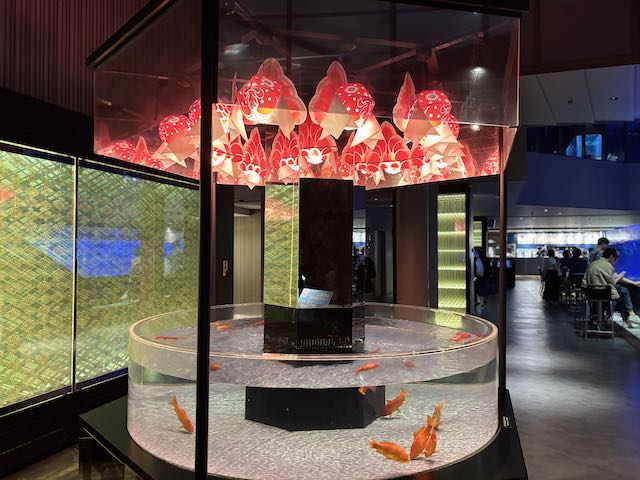 金魚が泳ぐ江戸リウムの展示
