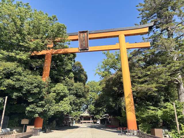 川越氷川神社の高さ約15メートルの木製明神大鳥居
