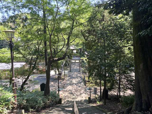 木々に囲まれた仙波東照宮の境内