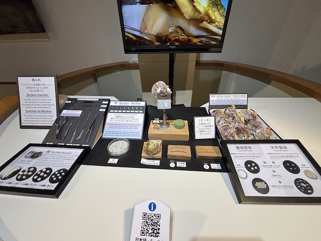 ミキモト真珠島で展示される真珠養殖の核入れ工程