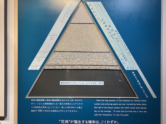 養殖真珠が商品になる割合を示した展示パネル