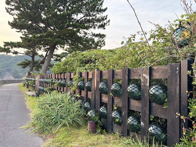 壁一面に飾られたガラス製のビン玉（昼間のビン玉ロード）